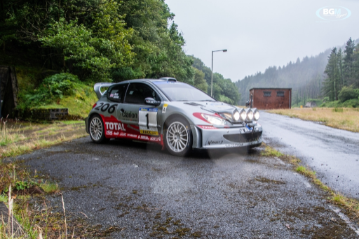 Richard Burns 2002 Peugeot 206 Wrc Car 47 Medium