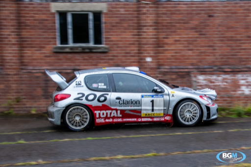 Richard Burns 2002 Peugeot 206 Wrc Car 48 Medium