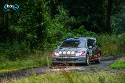 Richard Burns 2002 Peugeot 206 Wrc Car 50 Medium