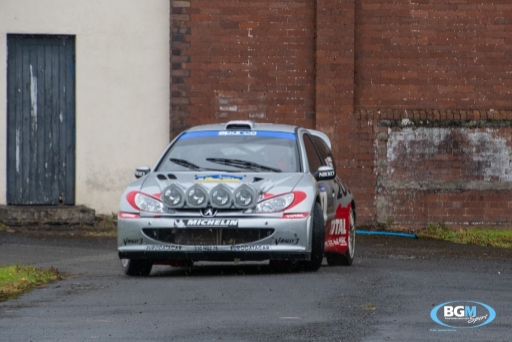 Richard Burns 2002 Peugeot 206 Wrc Car 51 Medium