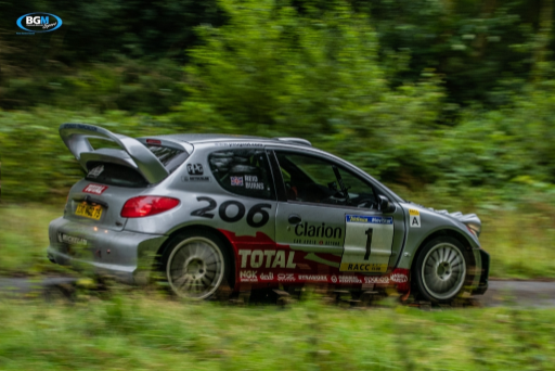 Richard Burns 2002 Peugeot 206 Wrc Car 52 Medium