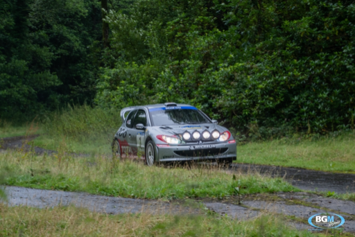 Richard Burns 2002 Peugeot 206 Wrc Car 53 Medium