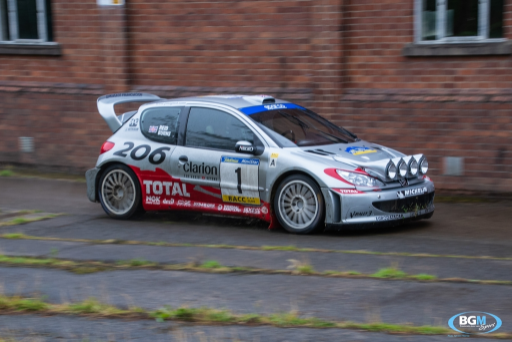 Richard Burns 2002 Peugeot 206 Wrc Car 54 Medium