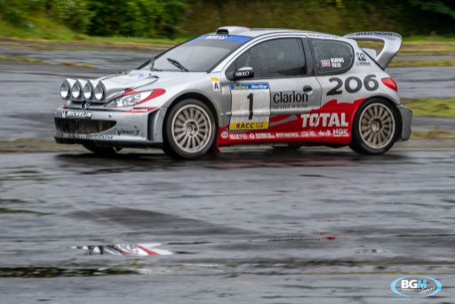Richard Burns 2002 Peugeot 206 Wrc Car 55 Medium