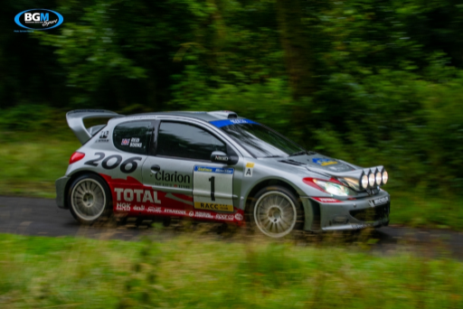 Richard Burns 2002 Peugeot 206 Wrc Car 57 Medium