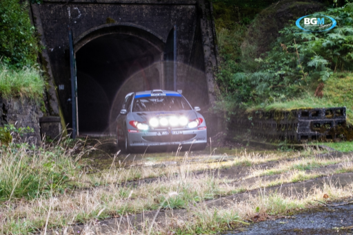 Richard Burns 2002 Peugeot 206 Wrc Car 59 Xlarge 1 Custom Medium