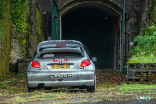 Richard Burns 2002 Peugeot 206 Wrc Car 60 Medium