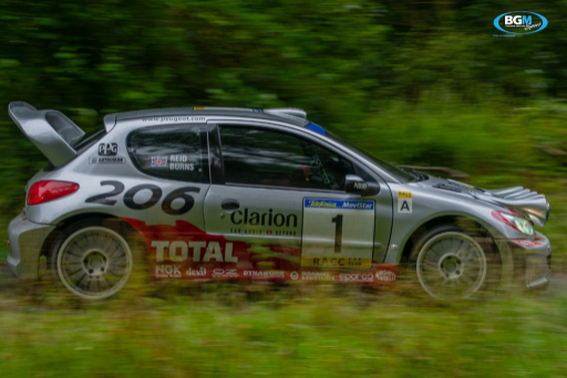 Richard Burns 2002 Peugeot 206 Wrc Car 62 Medium