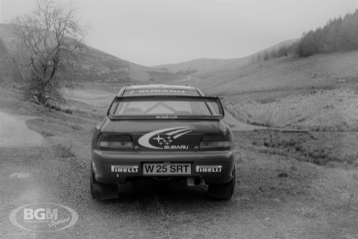 Richard Burns Rally Gb Winner 19 Medium