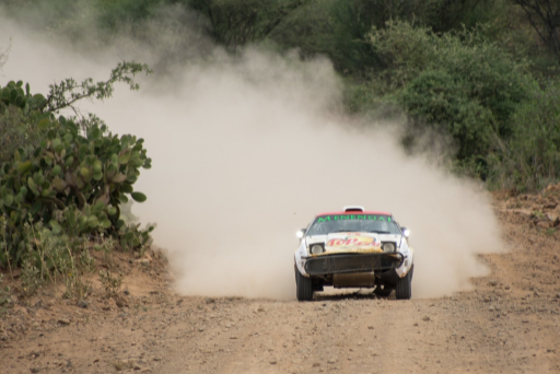 Rift Valley 1000 Kms 11 Medium