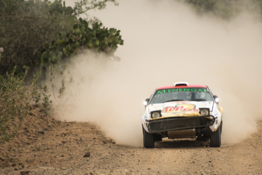 Rift Valley 1000 Kms 12 Medium