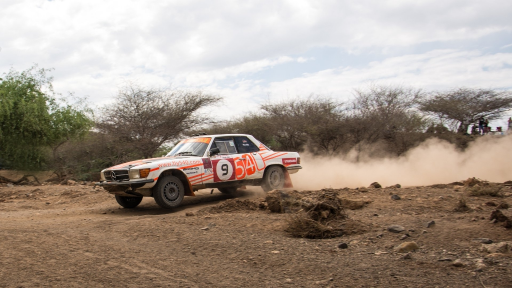 Rift Valley 1000 Kms 28 Medium