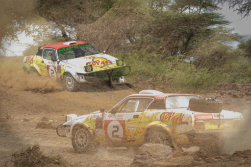 Rift Valley 1000 Kms 29 Medium