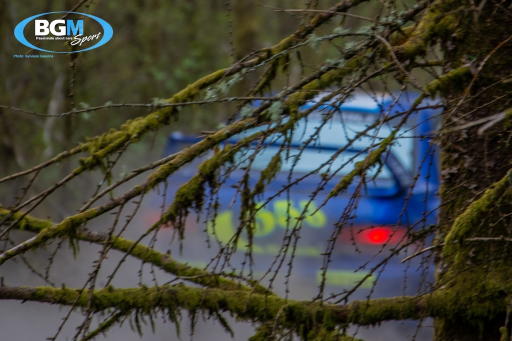 Walters Arena Wales 15 Medium